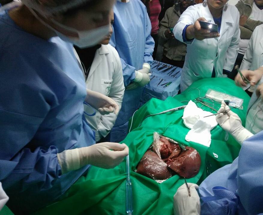 INSTRUMENTAÇÃO CIRÚRGICA